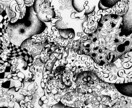 デジタルA4サイズのモノクロイラストを制作します 緻密なモノクロイラスト（デジタル）機械×生き物、独特な世界観 イメージ5