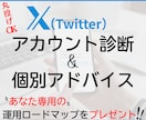 X（Twitter）運用のお悩みコンサルします X（Twitter）運用のノウハウを個別で提案します！ イメージ1