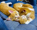 愚痴をお聞き致します ストレス発散しませんか？愚痴を思いっきりぶつけてください。 イメージ1