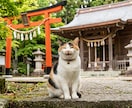 未来霊視｜あなたに訪れる運命の流れを読み解きます 今後起こりやすい出来事と、未来を好転させる鍵をお伝えします イメージ7