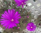 貴方の心の痛み傾聴致します 悩み様々人其々、その背負った荷物を分けて下さい。 イメージ1