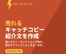 売れるキャッチコピー・紹介文を作成します 個人セラー向け、売れる紹介文・コピーを即日作成 イメージ1
