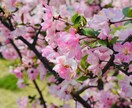3日間トークルームにて恋愛の悩み何でも聞きます 恋愛がうまくいかない、両想いになりたい等何でもご相談ください イメージ1