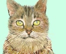 最短即日!お写真を元に動物の似顔絵描きます アナログでもデジタルでも!プレゼントや記念にどうぞ! イメージ3
