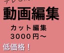 動画編集、加工、BGM挿入やります テレビで流れるような動画編集クオリティを低価格でご提供 イメージ1