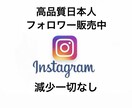 Instagramの日本人フォロワーを増やします 高品質なので安価な外国人フォロワーと違い減少なし！ イメージ1