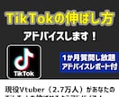 Vtuber向けにTikTok攻略法を教えます 現役Vtoker（2.7万人）があなたをサポート！ イメージ1