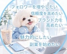 TikTokフォロワー+1000増加します 外国人フォロワーの増加でアカウントの認知度UP イメージ2
