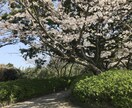 いじめ、心の病み、お話聞きます 周りに話せる人がいない、1から色々話したい方へ。 イメージ1