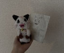 世界にひとつの手作りぬいぐるみをお作りします 【推し/ペット/キャラ】あなただけのぬいぐるみを制作します イメージ1