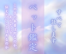 ペットの気持ちと魂のメッセージを霊視します 今感じていること・伝えたい想い・関係性の深層まで読み解きます イメージ1