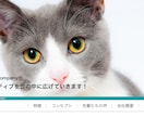 キャンペーン中！！おトクにサイトを制作いたします スマホ対応はもちろん、トレンドを取り入れたサイトをご提供 イメージ2