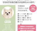 ペット（犬　猫）の画像で、うちの子Tシャツ作ります プロフィール入りだから着ているだけで自己紹介が出来ちゃいます イメージ4