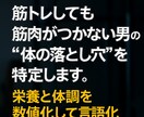 中年から筋肉がつく体に改善します 筋トレしても筋肉がつかない “体の落とし穴” を特定します イメージ3