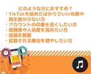 Tik Tokいいね数増やします 目立ちたいならこれ！いいね増加で投稿をブースト！ イメージ5