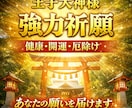 健康・厄除けで不安解消！王子大神様へ強力祈願します あなたの願いを神様へ。王子大神様へ心を込めて正式祈願致します イメージ1