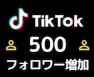 TikTokフォロワー+500になるよう宣伝します 1フォロワーあたり4円でご提供！追加オプションでさらにお得 イメージ1
