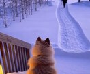 大切な想いを伝える動画説明文を作成します あなたの大切な瞬間を、気持ちのこもった言葉で残します。 イメージ2