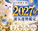 2027年運勢☆一年の流れと過ごし方を読み解きます 運気を知って、味方につけよう！ イメージ2