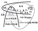 精神分析します あなたの不幸の原因を突き止め解決に導きます。 イメージ3