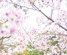 就活、転職のお悩み、好転させる後押しします クリスタルAngelガイドで幸せな方向へ進む後押し！ イメージ3