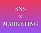 SNSマーケティング・運用の壁打ちをします プロのSNS戦略・マーケティングリサーチ関連アドバイス イメージ1