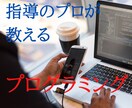 中学・高校生にプログラミングを教えます 塾講師の経験がある指導のプロが教えます！ イメージ1