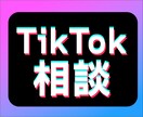 ビジネス用TikTokを始めたい方のご相談承ります TikTokを始めるべきかどうかから、並走して考えます！ イメージ1
