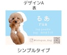 セミオーダー◎【ワンちゃん名刺】作成いたします 100枚セット◎うちの子をアピールするイチオシアイテム！ イメージ2