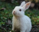 心のゴミ捨て・愚痴不平不満聞きます 職場、恋愛、人間関係、世の中の理不尽なことなんでも聞きます イメージ1
