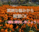 雑談から深刻な悩み事まで聞きます 相談・悩み・聞いて欲しい事OK！子育て中のママも大歓迎☆ イメージ1