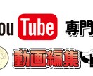 YouTube向けの動画編集【高品質】を承ります YouTube大手ゲーム実況チャンネルでの編集経験あり イメージ1