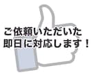 Facebook広告を即日・格安で代理出稿します 配信後の詳細レポートまでお届けします！ イメージ2