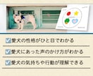 4タイプ別プチ診断⭐︎愛犬の性格診断します 性格タイプを知れば、愛犬の気持ちや行動がよくわかる！ イメージ2