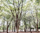 あなたのお話しをうかがいます ほんの短時間でも話をしてスッキリしませんか？ イメージ2