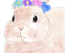 写真をもとに温かみのあるペットイラスト制作します 「写真では残せない温かさをイラストで。」 イメージ3