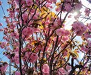 結婚したいなあ〜と思っているあなた連絡待っています もうそろそろ結婚したいなあ〜と思っている貴方へ結婚の近道伝授 イメージ2