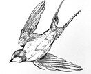 イラスト制作します 用途に合わせた実用的で面白いイラストです！ イメージ6