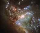 塾講師が高校までの数学物理、進路相談受けます 高校までの数学、物理文理選択などの相談 イメージ1