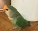 詐欺被害者に寄り添います 被害者の経験値と対応力で応えます。 イメージ3