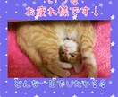 なんだか考えて眠れない…そんな夜にお付き合いします 初めまして！サラです。気分を変えるお手伝いします！ イメージ2