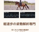 150-165㎝女性限定｜AI乗馬姿勢解析します あなたの姿勢を数値で可視化。AIと一緒に理想のフォームへ イメージ2