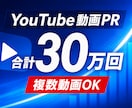 YouTube動画を30万回PR・再生拡大します 複数動画OK｜新曲・MV・企業PRを一気に強化 イメージ1