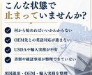 米国進出・OEMの詰まりを60分で整理します はじめての方にも安心！アメリカ市場での成功をお手伝い イメージ2