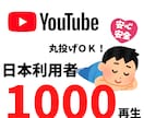 YouTube動画の再生数を増加させます 丸投げOK！！YouTube広告から再生数を増加させます！！ イメージ1