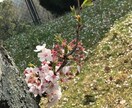 誰にも言えない悩みや相談、お聞きします どなたでも大歓迎。何でも話してください。 イメージ1