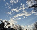 風景、花の画像提供します 風景、花、日常の写真提供します。 イメージ8