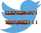 Twitter複数垢で30万人に拡散＆宣伝します フォロワー獲得・宣伝・集客・拡散におすすめ！！ イメージ1