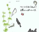 ゆるかわᗦ↞◃生き物イラスト描きます SNSアイコンや観賞用に！(˙˘˙ ﾐэ)Э イメージ6