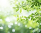 対人関係のお悩み全般、丁寧にカウンセリングします パワハラ、モラハラなど。視点を変えて解決へ導きます。 イメージ10